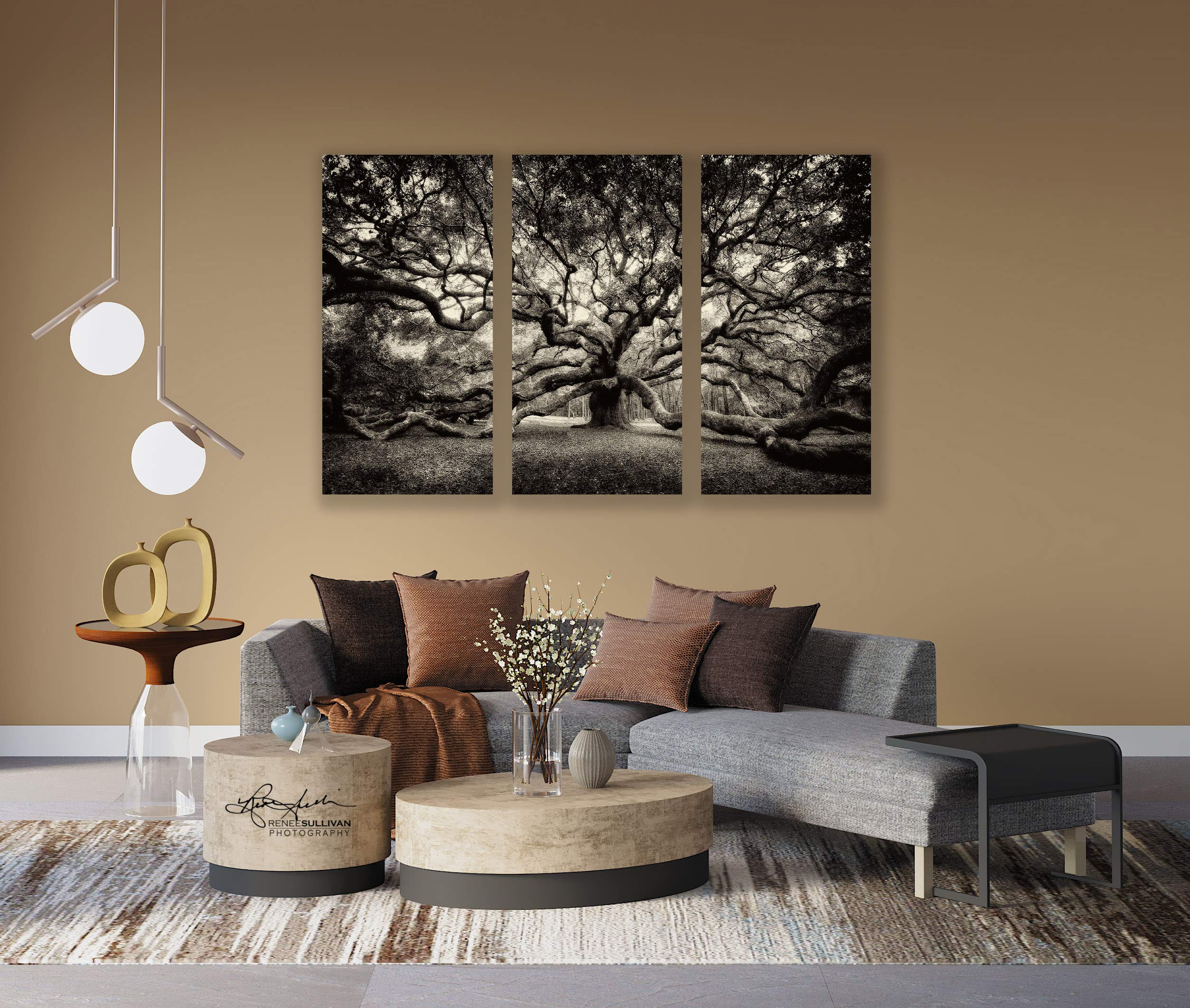 Amazon.com: Angel Oak Tree/Canvas TRIPTYCH/Charleston SC/Fine Art